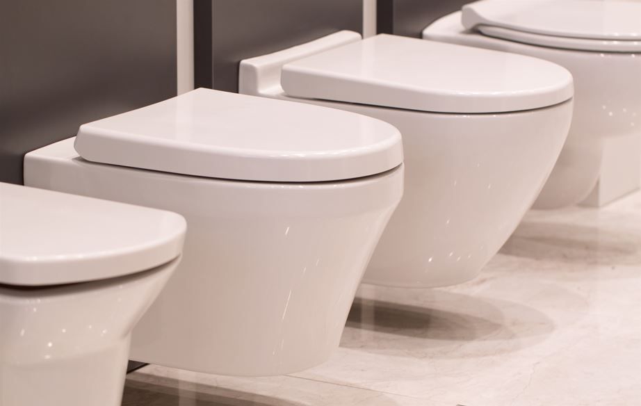 Cum să alegi capacul de toaletă potrivit pentru vasul tău de WC?